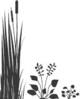 Plants Icon